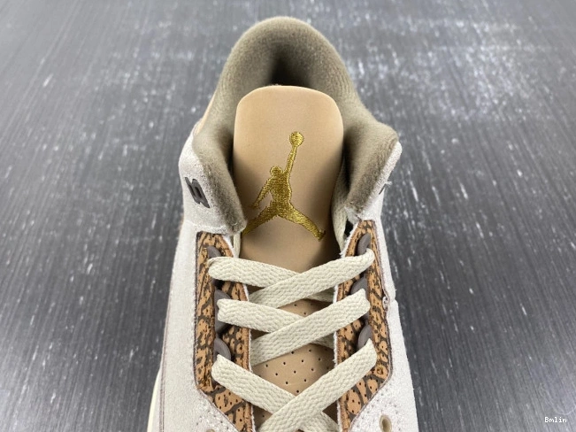 Bmlin Palomino 3 Air Jordan CT8532-102 0821